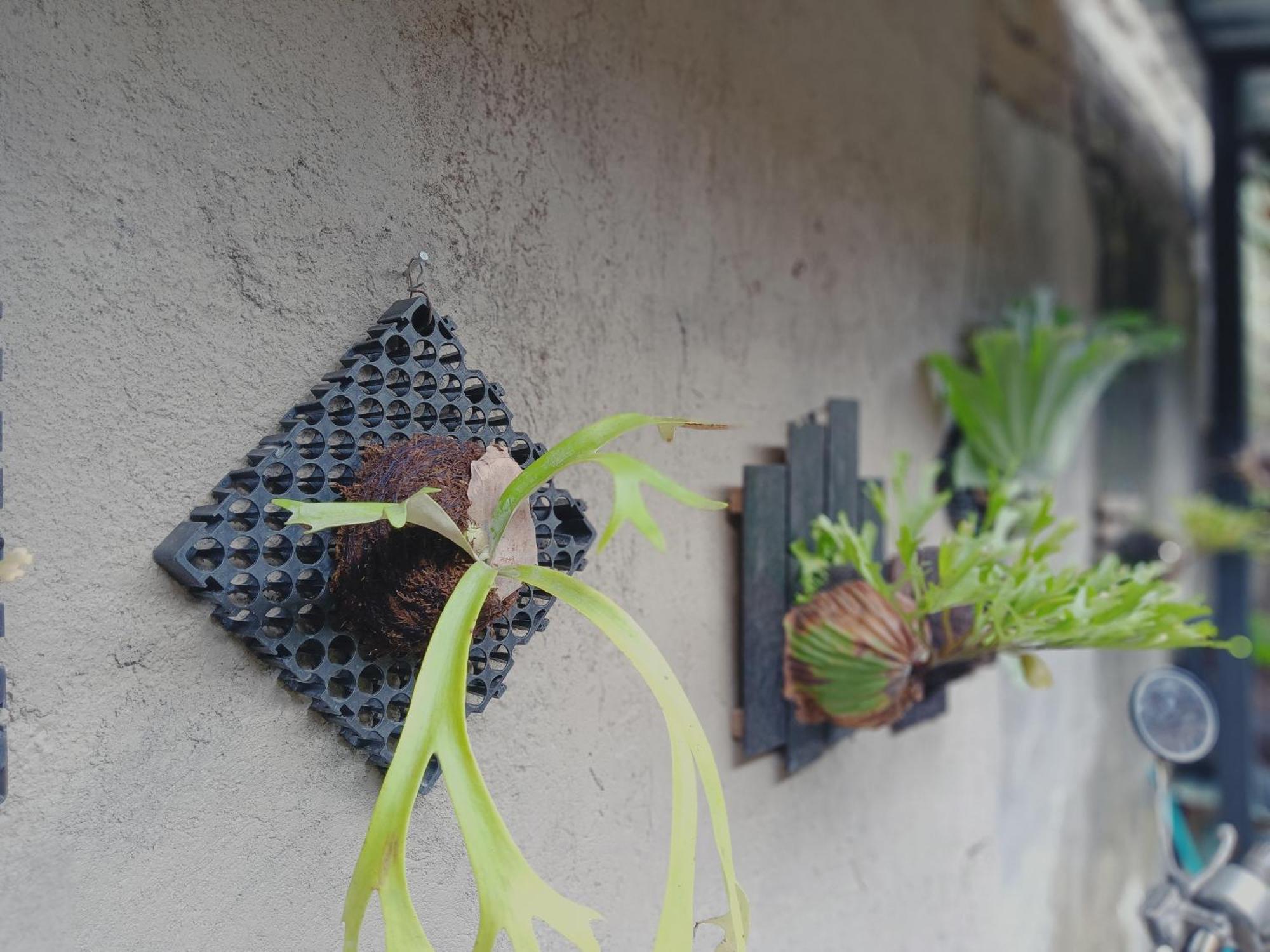 Sudana Homestay 乌布 外观 照片