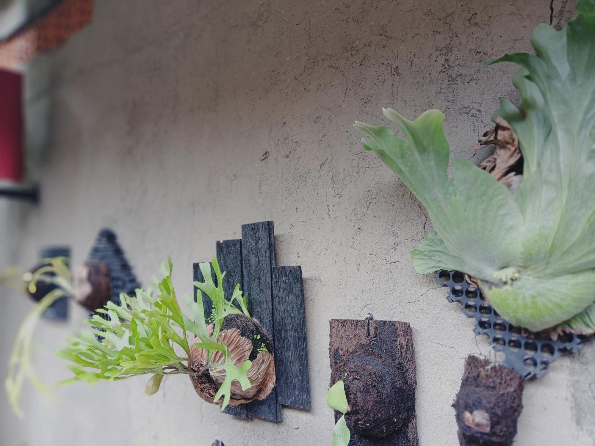 Sudana Homestay 乌布 外观 照片