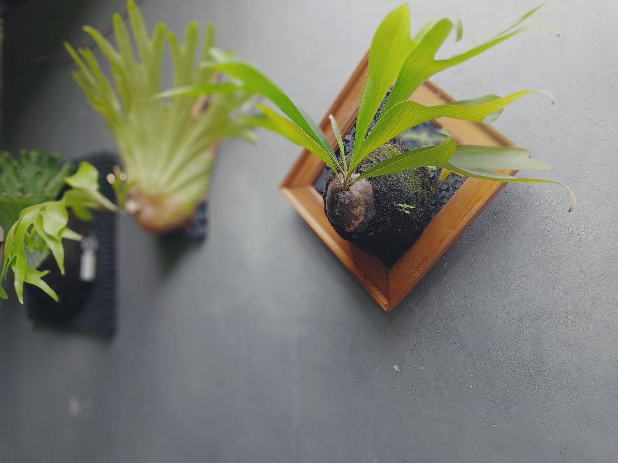 Sudana Homestay 乌布 外观 照片